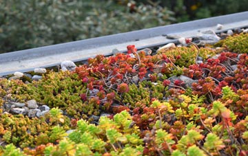 the cost of Wiswell green roof installation