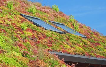 Wiswell living roof systems
